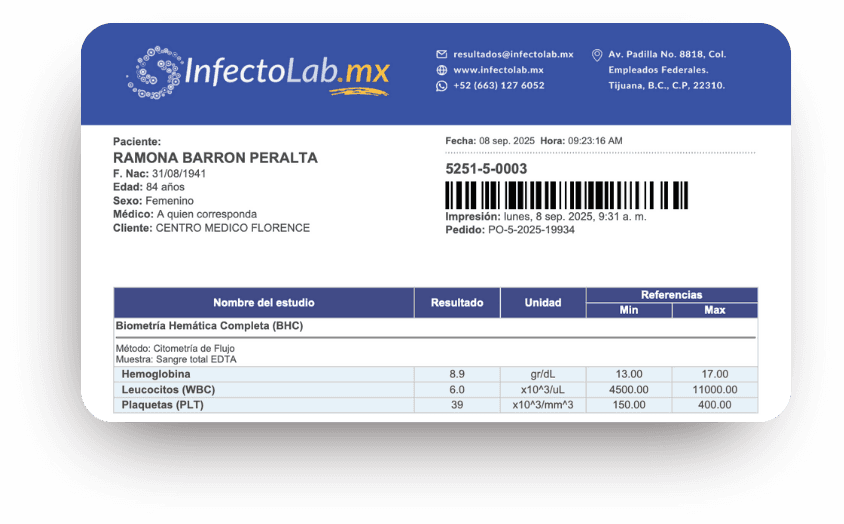 DD Soluciones Web - proyectos (3)