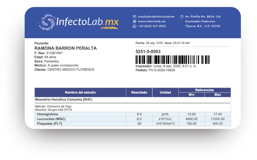 DD Soluciones Web - proyectos (3)